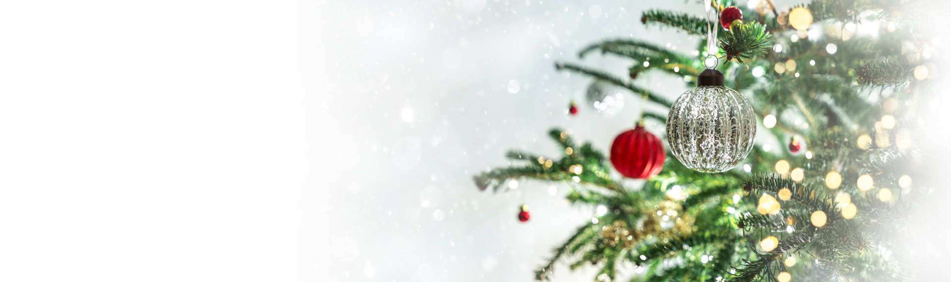 Weihnachtsaktion – 2 Monate gratis surfen